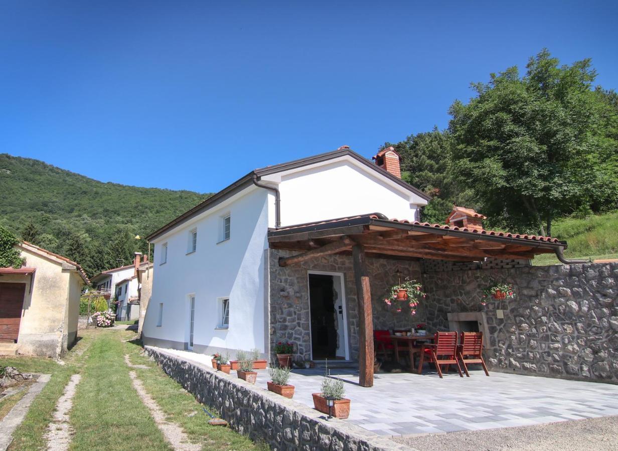 Guest House 'Villa Fani' Veprinac With Jacuzzi エクステリア 写真