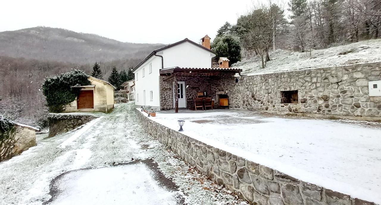 Guest House 'Villa Fani' Veprinac With Jacuzzi エクステリア 写真