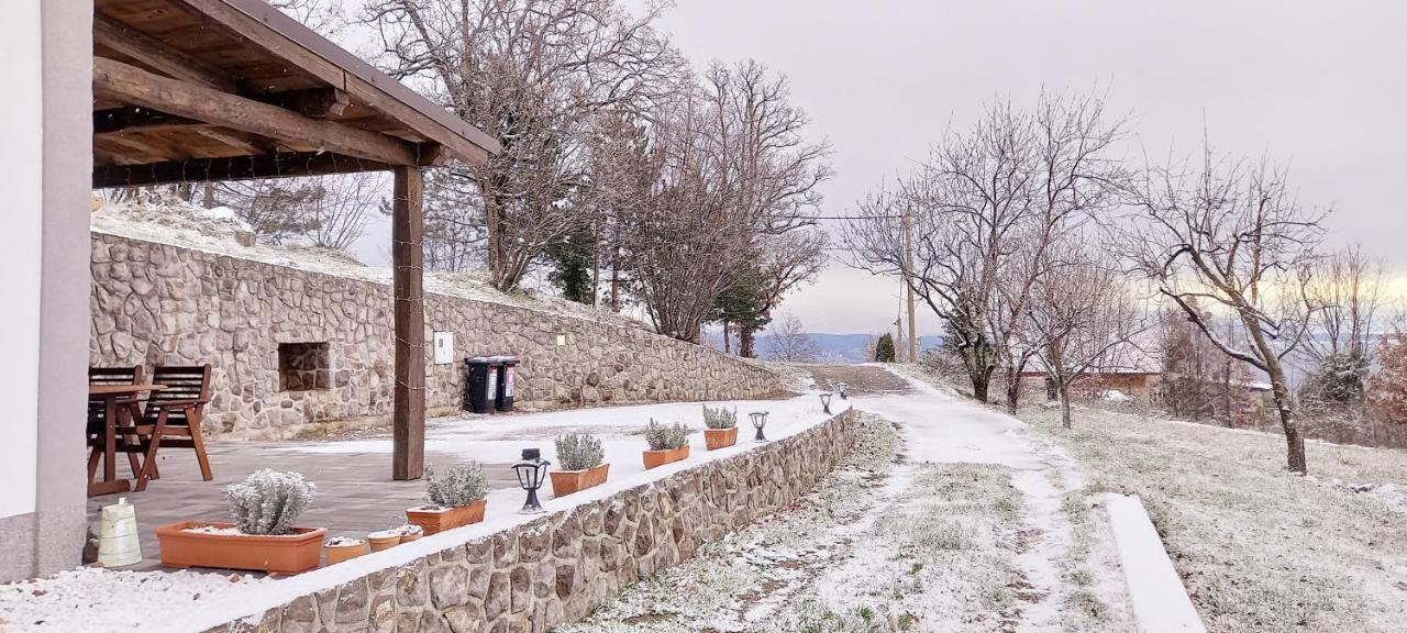 Guest House 'Villa Fani' Veprinac With Jacuzzi エクステリア 写真